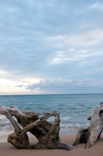 Enlarge photo 48