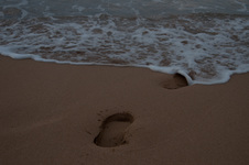 Enlarge photo 49
