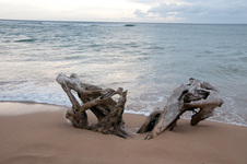 Enlarge photo 50