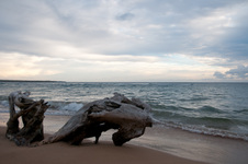 Enlarge photo 12