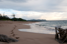 Enlarge photo 51