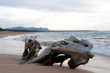 Enlarge photo 52