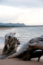 Enlarge photo 53