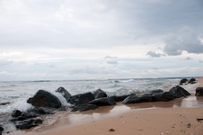 Enlarge photo 54