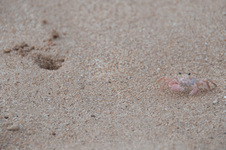 Enlarge photo 61