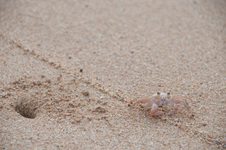 Enlarge photo 63