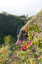 Enlarge photo 65