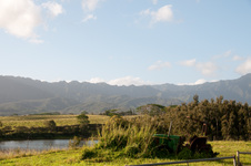 Enlarge photo 69