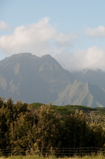 Enlarge photo 71