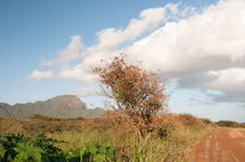 Enlarge photo 73