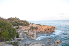 Enlarge photo 80