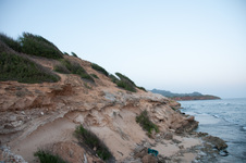 Enlarge photo 85
