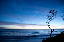 Enlarge photo 91
