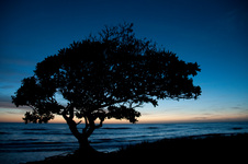 Enlarge photo 92