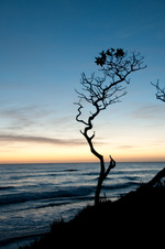 Enlarge photo 93