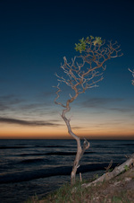 Enlarge photo 94