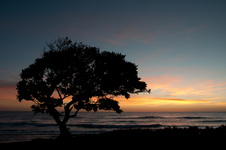 Enlarge photo 95