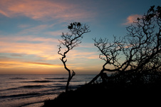 Enlarge photo 96