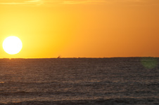 Enlarge photo 99