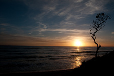 Enlarge photo 102
