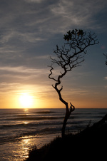 Enlarge photo 103