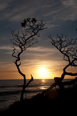 Enlarge photo 104