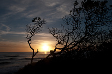 Enlarge photo 105