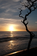 Enlarge photo 106