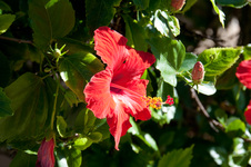 Enlarge photo 111