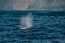 Enlarge photo 157