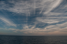 Enlarge photo 164