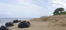 Enlarge photo 179
