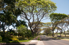 Enlarge photo 89