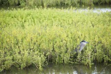 Enlarge photo 25