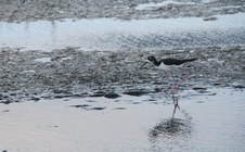 Enlarge photo 33