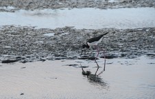 Enlarge photo 34
