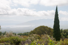 Enlarge photo 149