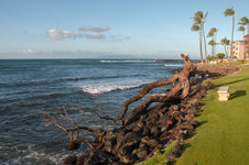 Enlarge photo 103