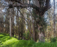Enlarge photo 144