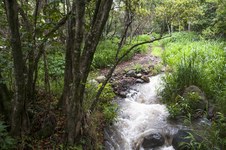 Enlarge photo 198