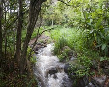 Enlarge photo 197