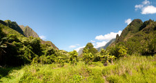 Enlarge photo 104