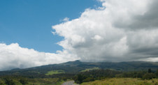 Enlarge photo 134
