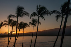 Enlarge photo 51
