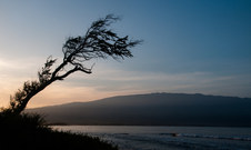 Enlarge photo 113