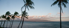 Enlarge photo 95