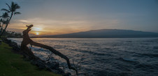 Enlarge photo 114