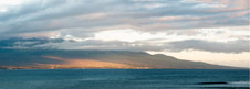 Enlarge photo 161