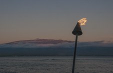 Enlarge photo 43