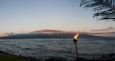Enlarge photo 41